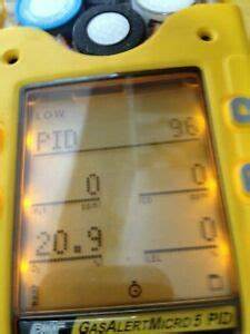 BW M5氣體檢測(cè)儀