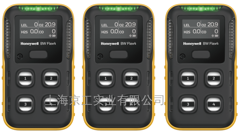 BW氣體檢測(cè)儀Flex4