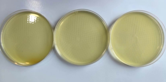 壓縮空氣浮游菌檢測(cè)