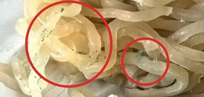 酸辣粉發(fā)霉